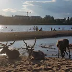 Kismet By Booklapland *