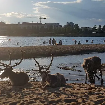 Kismet By Booklapland *