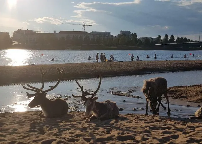 Kismet By Booklapland *